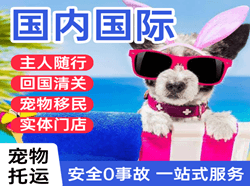 天津航空运输国际宠物托运 【国